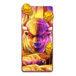 Buffalo
King